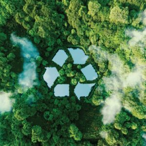 Sustainability in the Beverage Industry